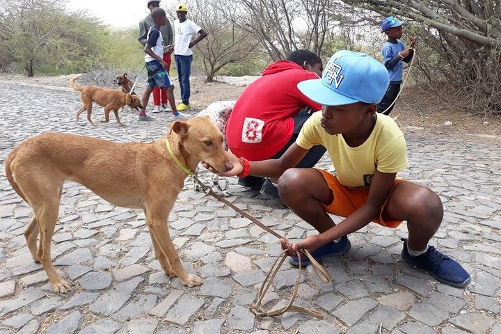 Volunteering with animals in Sao Vicente!