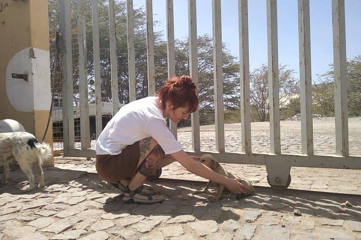 Volunteering with animals in Sao Vicente!