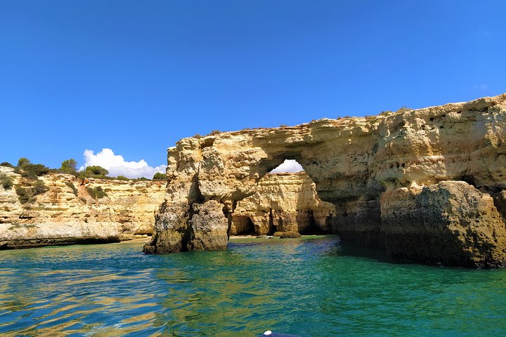 Benagil And Dolphins Tour