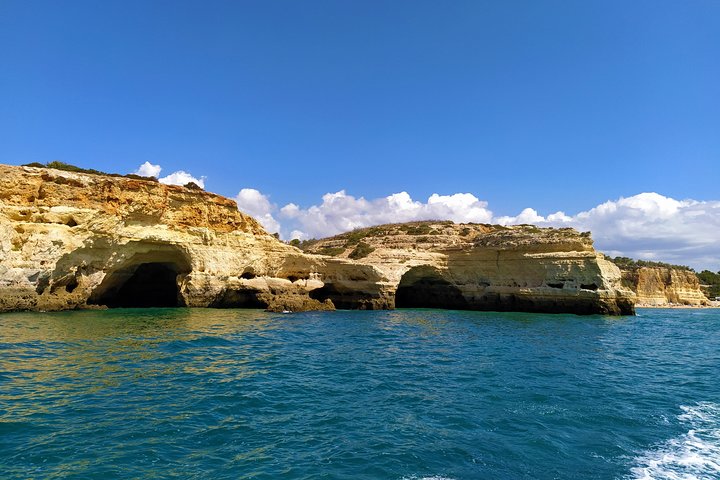 Benagil And Dolphins Tour