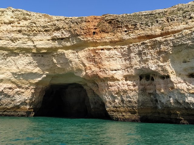 Benagil And Dolphins Tour