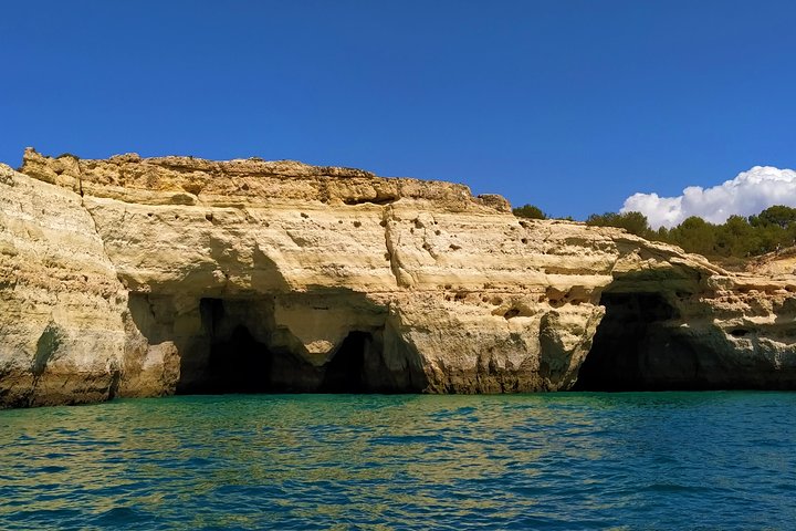 Benagil And Dolphins Tour
