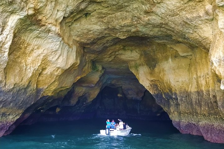 Benagil And Dolphins Tour
