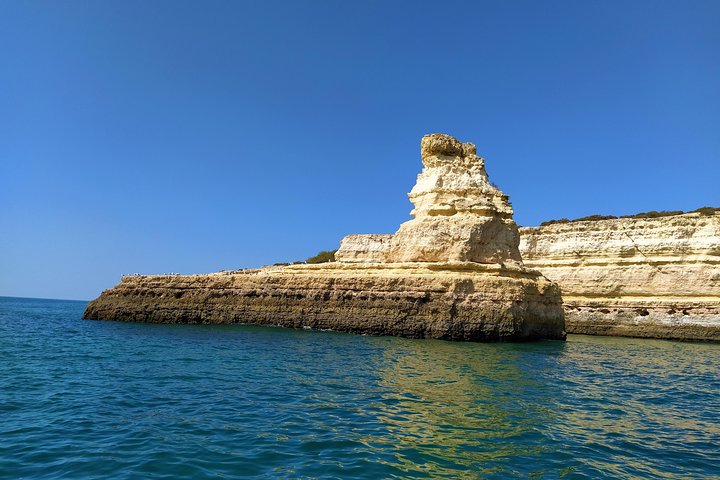 Benagil And Dolphins Tour