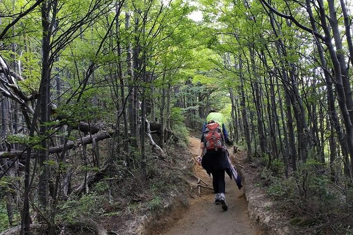 Trekking Base Torres - Torres del Paine trek from Puerto Natales