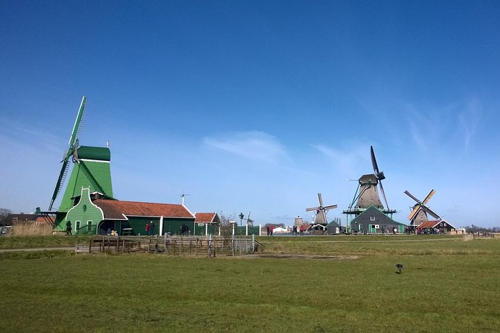 Zaanse Schans Small-Group Excursion from Zaandam