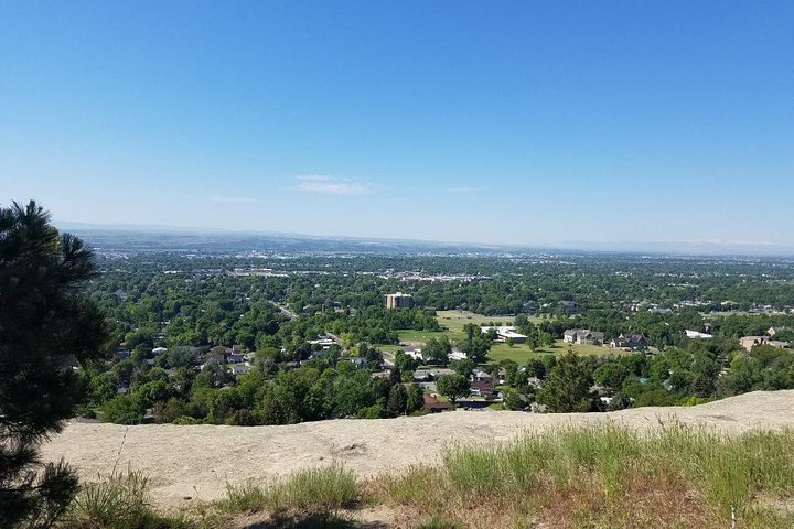 Astonishing Scavenger Hunt: Bountiful Billings