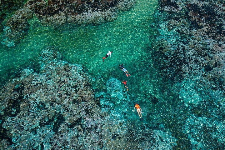 Premium Family Snorkeling Experience