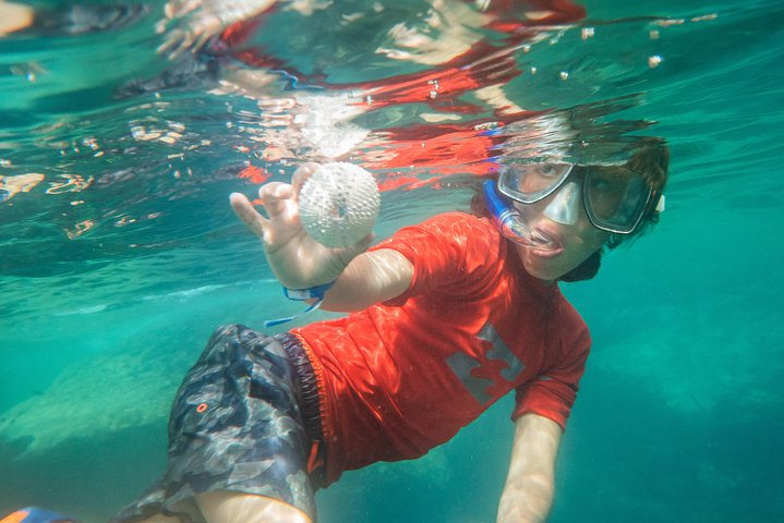 Premium Family Snorkeling Experience