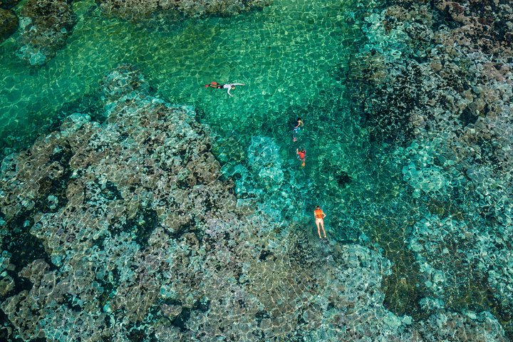 Premium Family Snorkeling Experience