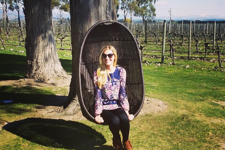 Half-Day Marlborough Wine Tour & Beer Tour