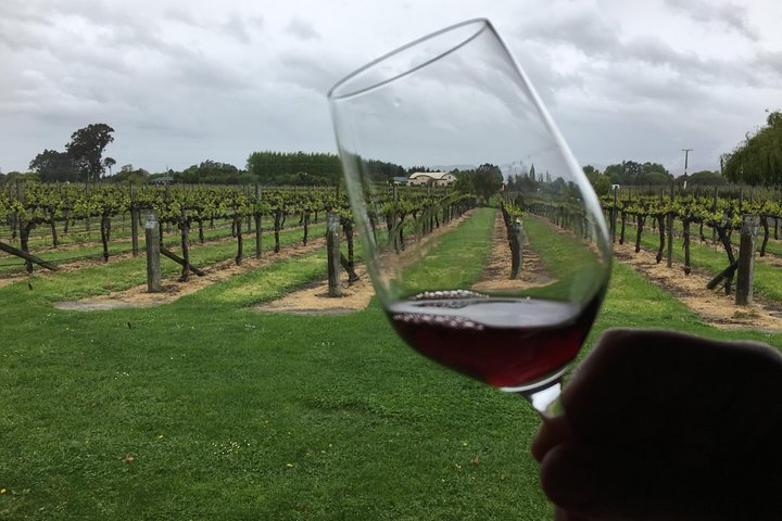 Half-Day Marlborough Wine Tour & Beer Tour