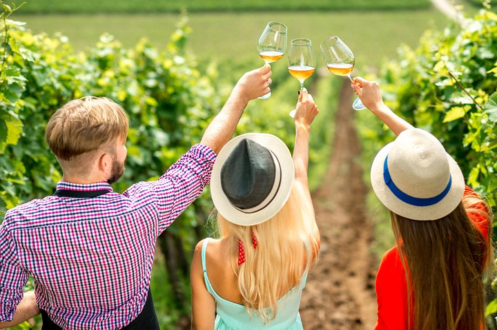 Barefoot Luxury Mount Tamborine Winery Tour from Gold Coast