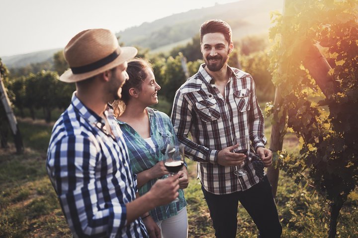 Barefoot Luxury Mount Tamborine Winery Tour from Gold Coast