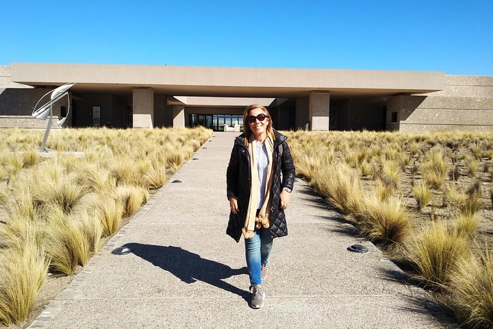 Uco Valley Wineries Day with Private Driver