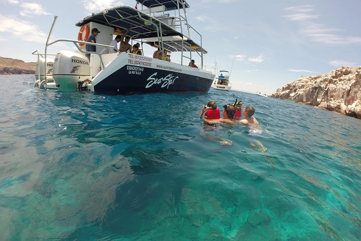 Espiritu Santo Island Snorkel & Sea Lion Adventure