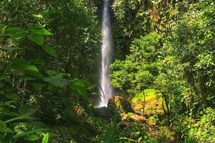 Amazon Tour in Ecuador: Puyo Day Trip from Baños