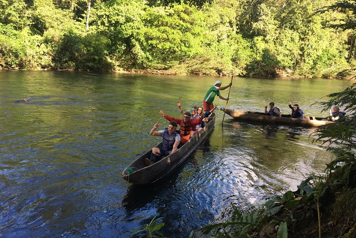 Amazon Tour in Ecuador: Puyo Day Trip from Baños