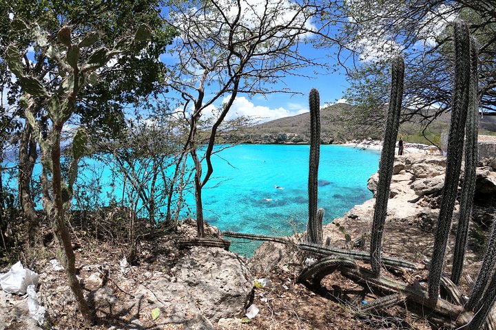 Unforgettable Sea Turtle Swim & Grote Knip Beach Escape