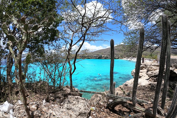 Best Highlight Island Tour - Perfect Day Tour. Small group Tour
