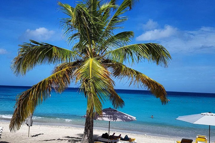 Best Highlight Island Tour - Perfect Day Tour. Small group Tour