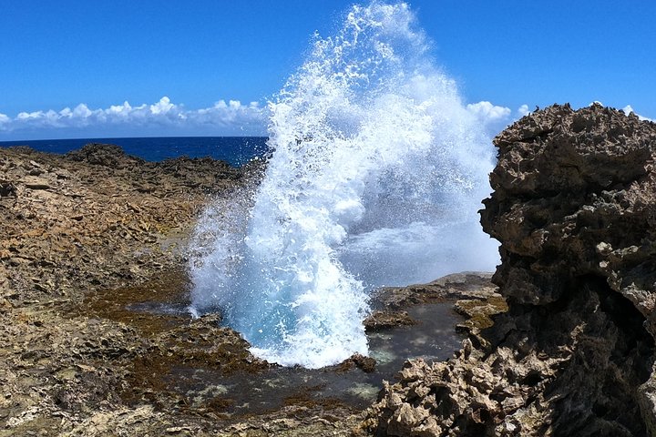 Best Highlight Island Tour - Perfect Day Tour. Small group Tour