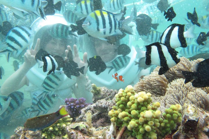 Bali Sea Walking Experience