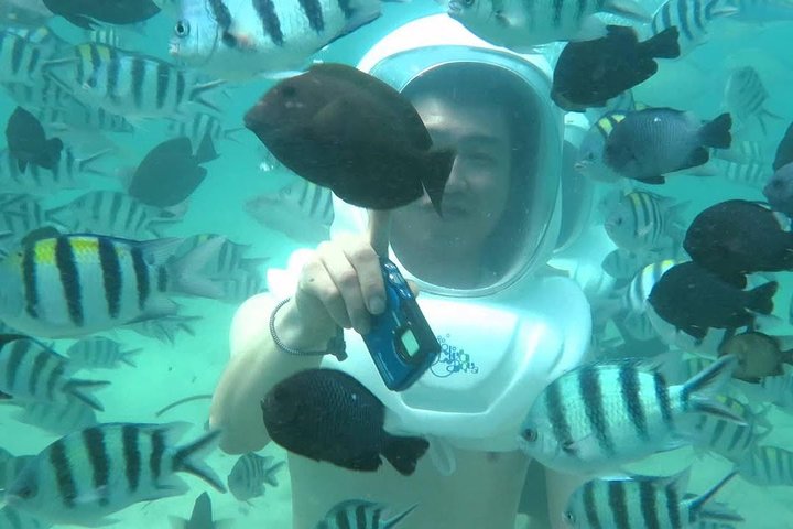 Bali Sea Walking Experience