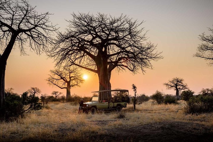 7 Days Safari