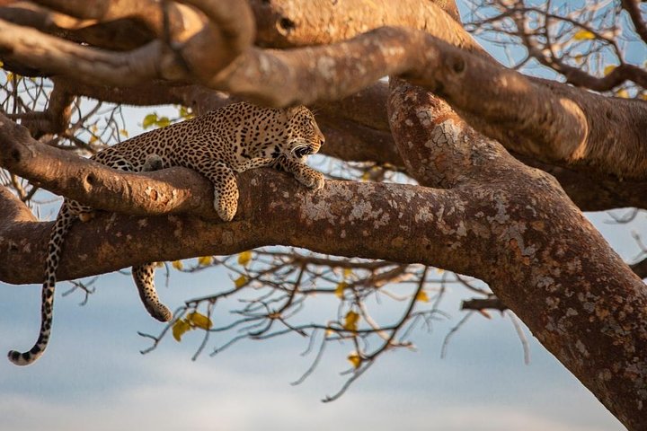Safari Tour; Nairobi National Park