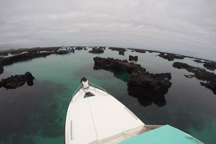 Los Túneles Snorkeling Tour from Isabela Island