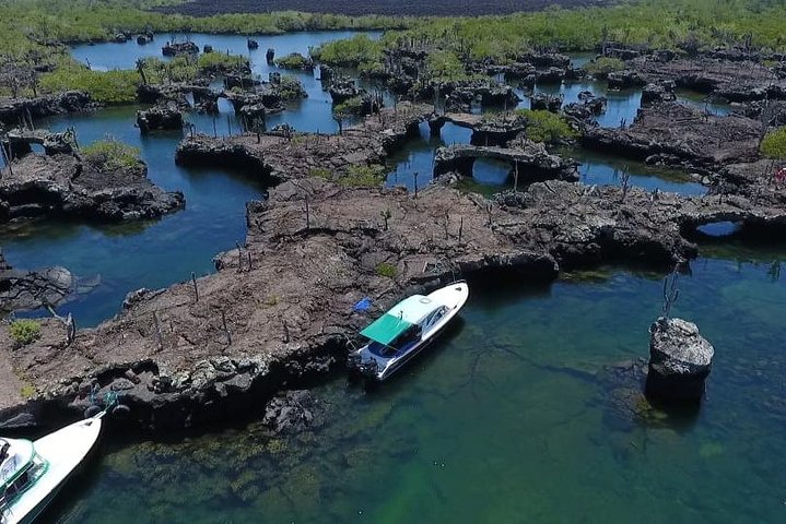 Los Túneles Snorkeling Tour from Isabela Island