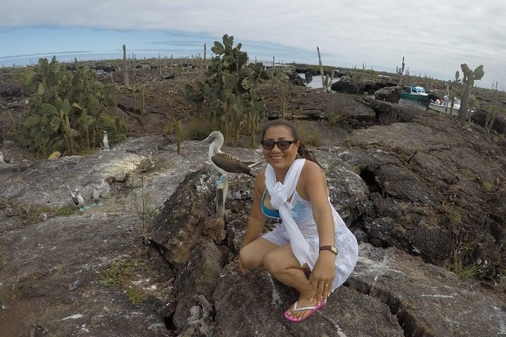 Los Túneles Snorkeling Tour from Isabela Island