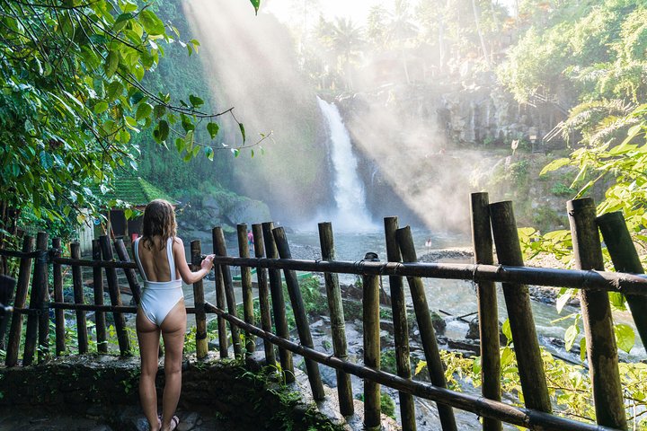 Best of Ubud Full-Day Tour with Jungle Swing