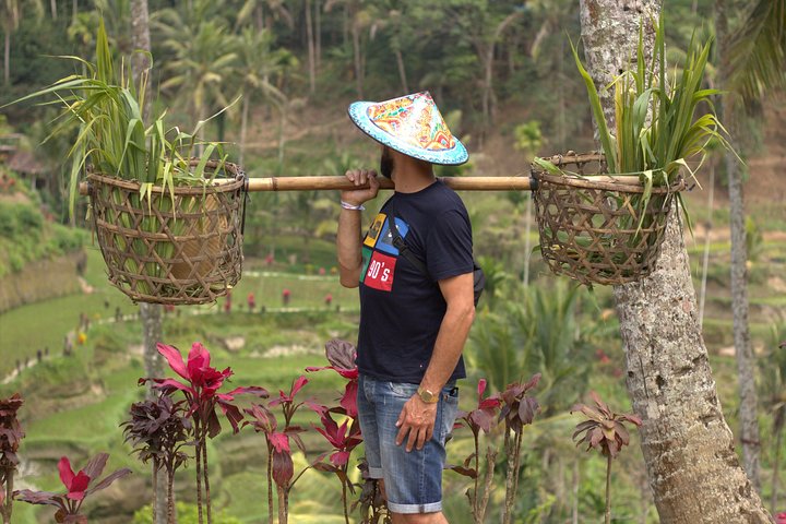 Best of Ubud Attractions: Private All-Inclusive Tour