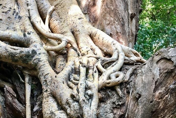 Trekking - Nechisar National Park (5 days)