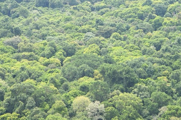 Trekking - Nechisar National Park (5 days)