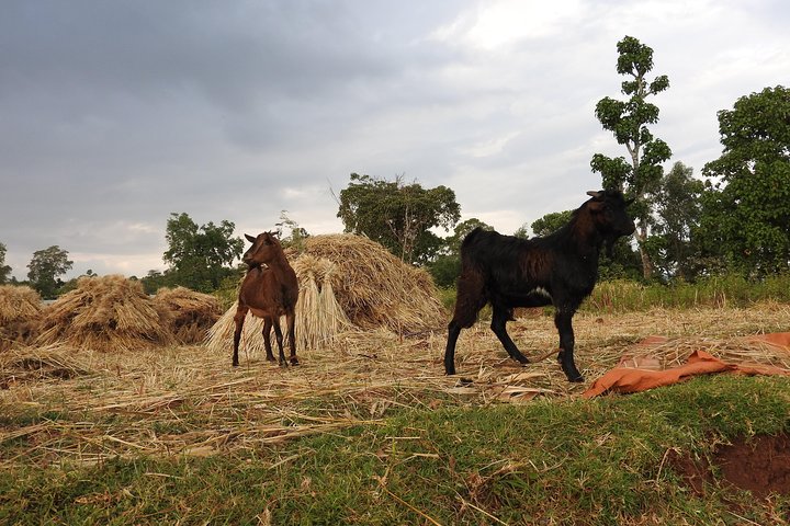 3 days, Arba Minch and Dorze