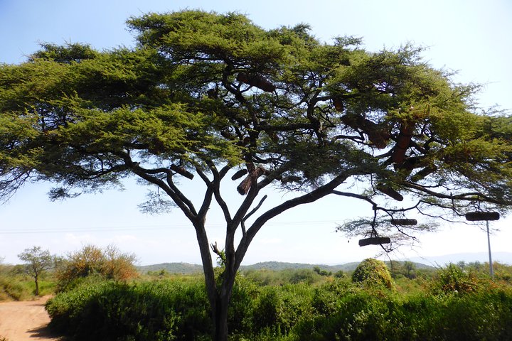 7 days Omo Valley, Dorze and Arba Minch