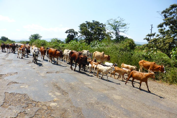 7 days Omo Valley, Dorze and Arba Minch