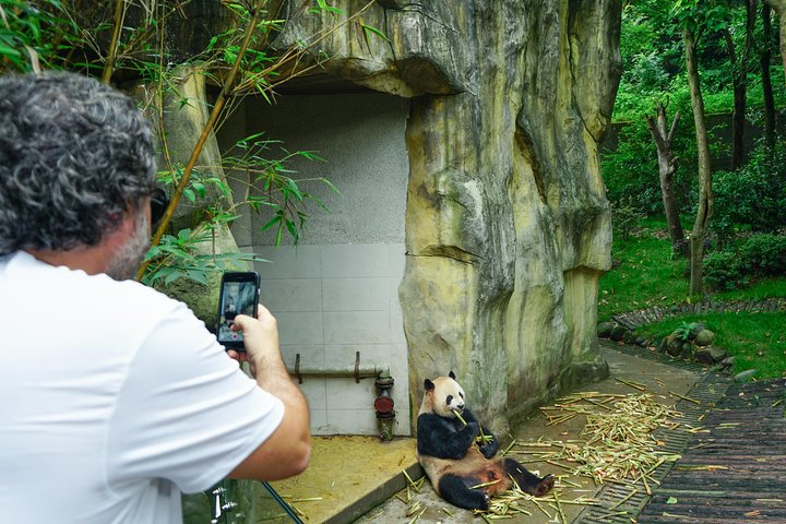 Dujiangyan Panda Base: 2 hours Panda Valley visit