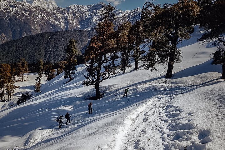 Chopta Trek