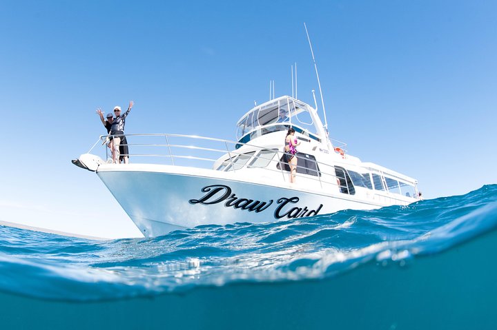 Swim with Whale Sharks in the Ningaloo Reef: 3 Island Shark Dive