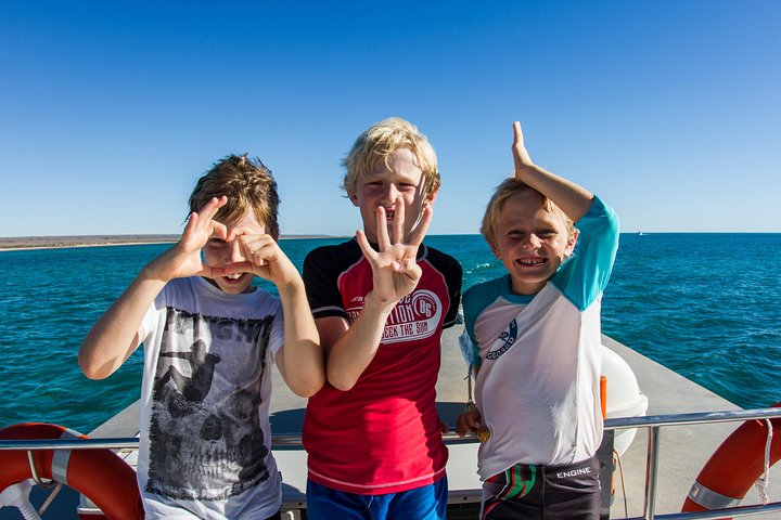 Swim with Whale Sharks in the Ningaloo Reef: 3 Island Shark Dive