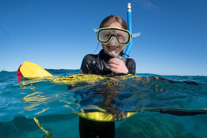 Swim with Whale Sharks in the Ningaloo Reef: 3 Island Shark Dive