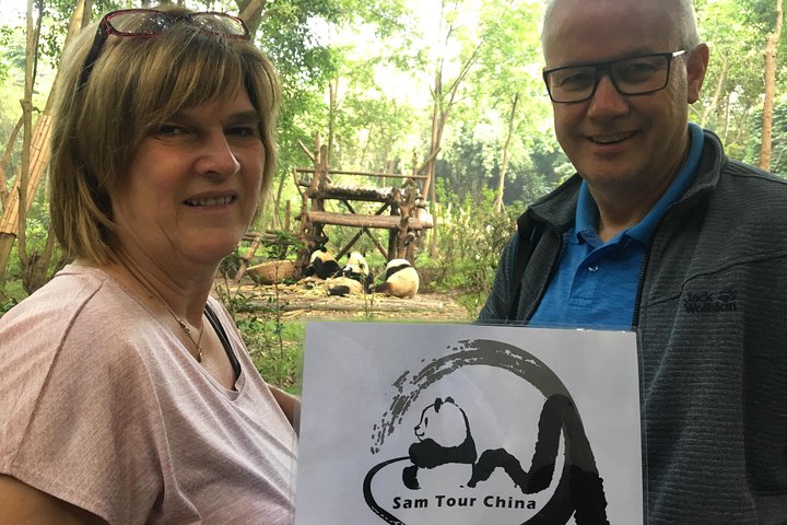 Private Half-Day Chengdu Panda Breeding Center Tour with Optional Volunteer