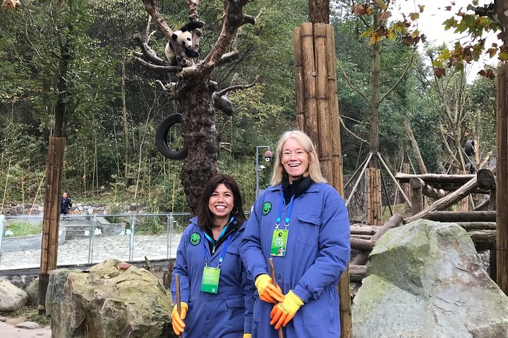 Private Dujiangyan Panda Base Panda Rescue Center Volunteer for a Day