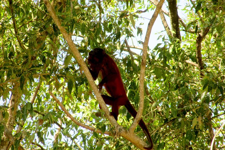 Bigi Pan Tourist Eco Lodge