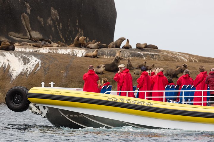 Wilsons Promontory Wilderness Cruise from Tidal River
