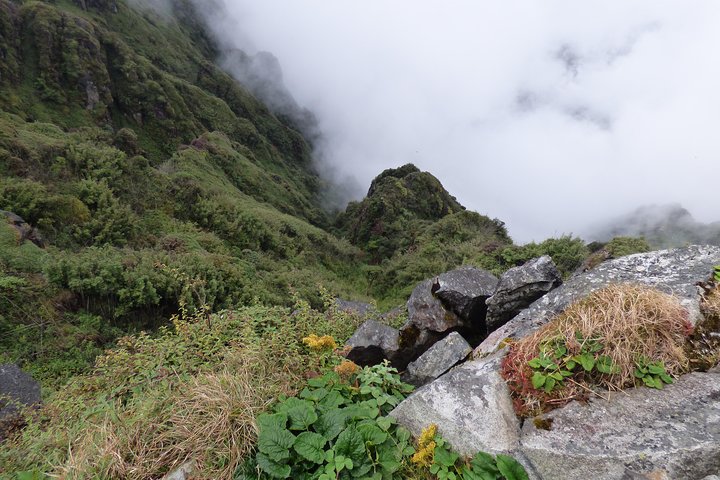 Sapa - Lao Chai -Ta Van full day trekking